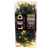 Ensemble de 100 lumières DEL blanc chaud