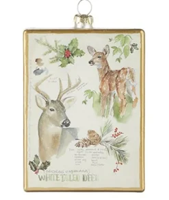Ornement en verre rectangulaire, avec affiche pour cerf de Virginie.