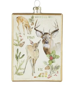 Ornement en verre rectangulaire, avec affiche pour cerf de Virginie.