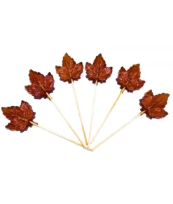 Sucon Érable de North Hatley (6 pièces)