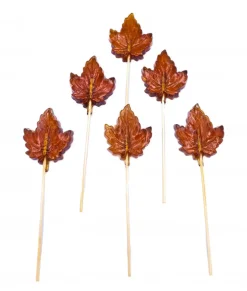 Sucon Érable de North Hatley (6 pièces)