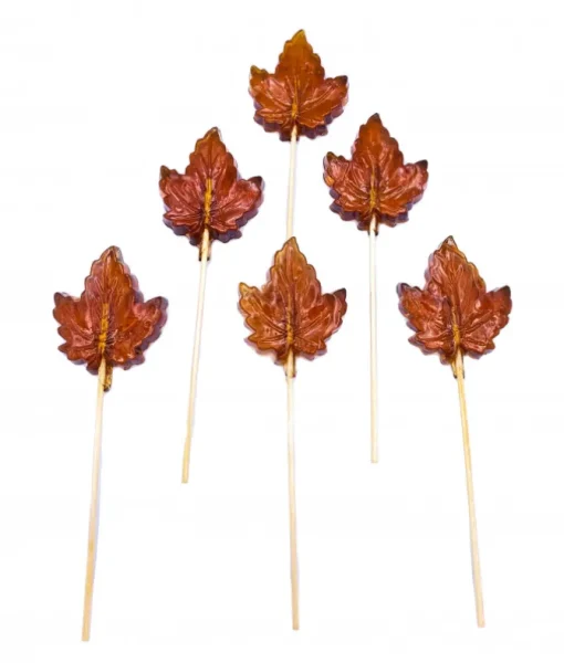 Sucon Érable de North Hatley (6 pièces)